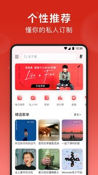 网易云音乐黑胶破解版ios